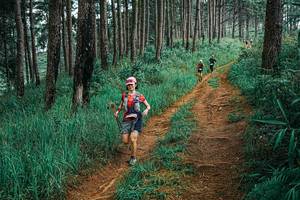 BIB: 
                            <button type="button" onclick="openModal(25655249)" class="btn btn-primary btn-sm float-right btn-popup" data-toggle="modal" data-target=".modal-high-quality">
                        <i class="fas fa-shopping-cart"></i> Add to Cart
                    </button>
                                            <button type="button" onclick="isThisMe(25655249, true)" class="btn btn-success btn-sm float-right btn-popup btn-isme hidden" data-toggle="tooltip" data-placement="bottom" title="นี่คือรูปของคุณใช่ไหม คลิกที่นี่เพื่อเอาเข้าอัลบั้ม">
                        <i class="fas fa-plus"></i> Add to album
                    </button>
                    <button type="button" onclick="isThisMe(25655249, false)" class="btn btn-warning btn-sm float-right btn-popup btn-isnotme hidden">
                        <i class="fas fa-ban"></i> Remove from album
                    </button>